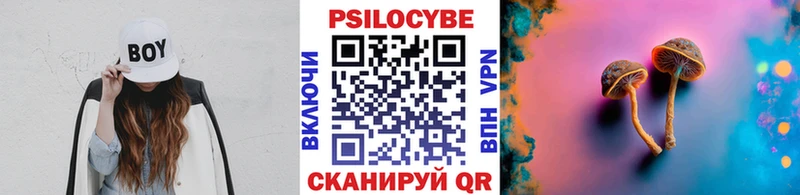 Псилоцибиновые грибы мухоморы  кракен сайт  Петров Вал 